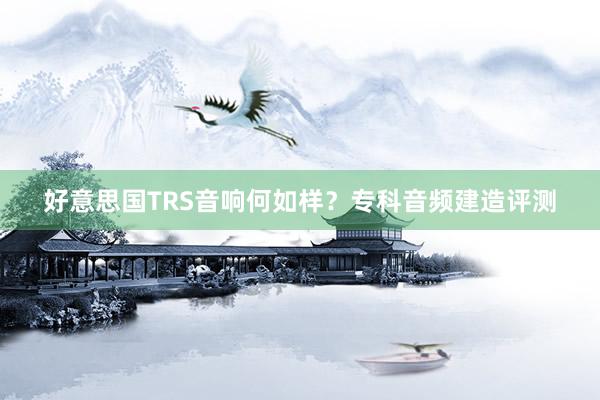 好意思国TRS音响何如样？专科音频建造评测