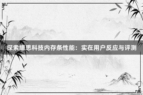 探索缅思科技内存条性能：实在用户反应与评测
